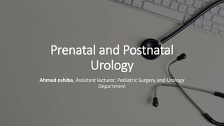 Prenatal and Postnatal
Urology
Ahmed oshiba, Assistant lecturer, Pediatric Surgery and Urology
Department
 