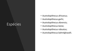 Espécies
• Australopithecus africanus;
• Australopithecus garhi;
• Australopithecus afarensis;
• Australopithecus boise;
• Australopithecus robustus;
• Australopithecus bahrelghazalli.
 