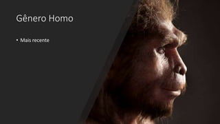 Gênero Homo
• Mais recente
 