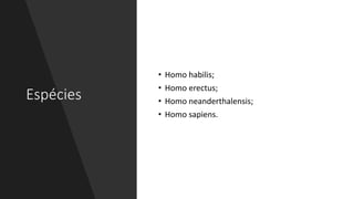 Espécies
• Homo habilis;
• Homo erectus;
• Homo neanderthalensis;
• Homo sapiens.
 