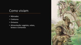 Como viviam
• Nômades
• Coletores
• Onívoros
• Alimentação: vegetais, raízes,
brotos e sementes
 