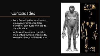 Curiosidades
• Lucy, Australopithecus afarensis,
um dos primeiros ancestrais
humanos, com 3,180 milhões de
anos de idade.
• Arde, Australopithecus ramidus,
mais antigo humano encontrado,
com cerca de 4,4 milhões de anos.
 