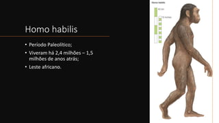 Homo habilis
• Período Paleolítico;
• Viveram há 2,4 milhões – 1,5
milhões de anos atrás;
• Leste africano.
 