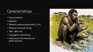 Características
• Face primitiva;
• Bípedes;
• Mediam aproximadamente 1,2 m;
• Pesavam cerca de 45 kg;
• 700 – 800 cm2;
• Linguagem rudimentar;
• Fabricavam ferramentas em
pedra lascada.
 