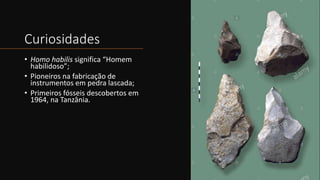 Curiosidades
• Homo habilis significa “Homem
habilidoso”;
• Pioneiros na fabricação de
instrumentos em pedra lascada;
• Primeiros fósseis descobertos em
1964, na Tanzânia.
 
