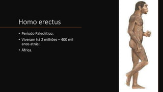 Homo erectus
• Período Paleolítico;
• Viveram há 2 milhões – 400 mil
anos atrás;
• África.
 