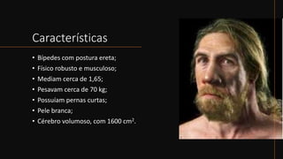 Características
• Bípedes com postura ereta;
• Físico robusto e musculoso;
• Mediam cerca de 1,65;
• Pesavam cerca de 70 kg;
• Possuíam pernas curtas;
• Pele branca;
• Cérebro volumoso, com 1600 cm2.
 