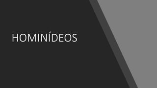 HOMINÍDEOS
 