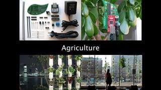 Agriculture 
 