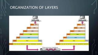 ORGANIZATION OF LAYERS
 