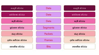 යෙදුම් ස්ථරෙ
සමර්පණ ස්ථරෙ
සැසි ස්ථරය
ප්‍රවාහන ස්ථරය
ජාල ස්ථරය
දත්ත සනිධන ස්ථරය
භ ෞතික ස්ථරය
යෙදුම් ස්ථරෙ
සමර්පණ ස්ථරෙ
සැසි ස්ථරය
ප්‍රවාහන ස්ථරය
ජාල ස්ථරය
දත්ත සනිධන ස්ථරය
භ ෞතික ස්ථරය
Data
Data
Data
Segments
Packets
Frames
Bits
 