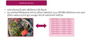 සමර්පණ ස්ථරෙ
• යමම ස්ථරයේ දී දත්ත පරිවර්තනෙ වීම සිදුයේ.
• අප ෙවන්නයන්න පින්නූරෙක් නම් එෙ ද්විමෙ යක්තබවට (උදා 101100) පරිවර්තනෙ වන අතර
ද්විමෙ යක්තෙ නැවත මුල් යගාණුව බවටත් පත්වන්නයන්න යමහි දීෙ
10001000111100011000111
000100011110001100011
1000100011110001100011
1000100011110001100011
1000100011110001100011
1000100011110001100011
1000100011110001100011
1000100011110001100011
 