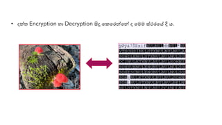 • දත්ත Encryption හා Decryption සිදු යකයරන්නයන්න ද යමම ස්ථරයේ දී ෙ.
 