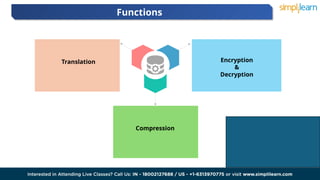 Functions
02 03
Translation Encryption
&
Decryption
Compression
 