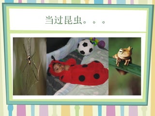 当过昆虫。。。 