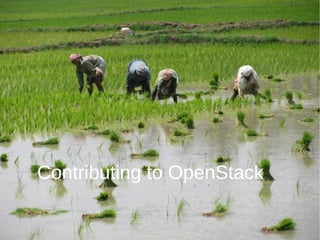 Contributing to OpenStack
 