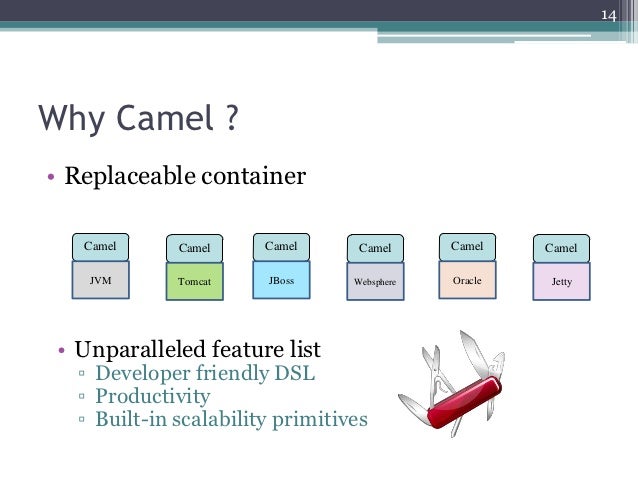Apache camel software download for mac download Apache camel software download for mac download