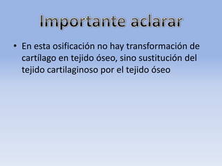 • En esta osificación no hay transformación de
cartílago en tejido óseo, sino sustitución del
tejido cartilaginoso por el tejido óseo
 