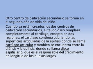 Otro centro de osificación secundario se forma en
el segundo año de vida del niño.
Cuando ya están creados los dos centros de
osificación secundarios, el tejido óseo remplaza
completamente al cartílago, excepto en dos
regiones: el cartílago continúa cubriendo las
superficies articuladas de la epífisis donde se llama
cartílago articular y también se encuentra entre la
diáfisis y la epífisis, donde se llama disco
espifisiario, que es el responsable del crecimiento
en longitud de los huesos largos.
 