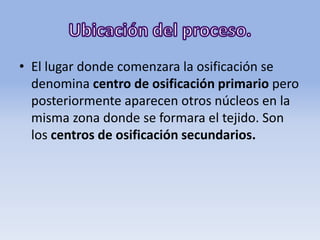 • El lugar donde comenzara la osificación se
denomina centro de osificación primario pero
posteriormente aparecen otros núcleos en la
misma zona donde se formara el tejido. Son
los centros de osificación secundarios.
 