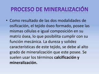 • Como resultado de las dos modalidades de
osificación, el tejido óseo formado, posee las
mismas células e igual composición en su
matriz ósea, lo que posibilita cumplir con su
función mecánica. La dureza y solidez
características de este tejido, se debe al alto
grado de mineralización que este posee. Se
suelen usar los términos calcificación y
mineralización.
 