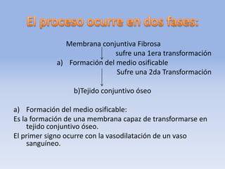 Membrana conjuntiva Fibrosa
sufre una 1era transformación
a) Formación del medio osificable
Sufre una 2da Transformación
b)Tejido conjuntivo óseo
a) Formación del medio osificable:
Es la formación de una membrana capaz de transformarse en
tejido conjuntivo óseo.
El primer signo ocurre con la vasodilatación de un vaso
sanguíneo.
 