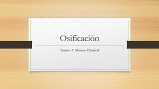 Osificación
Yasmin A. Moreno Villarreal
 