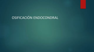 OSIFICACIÓN ENDOCONDRAL
 