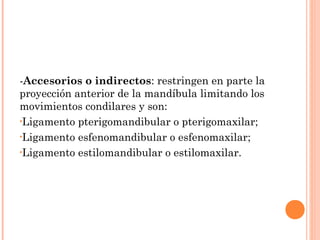 -Accesorios o indirectos: restringen en parte la
proyección anterior de la mandíbula limitando los
movimientos condilares y son:
•Ligamento pterigomandibular o pterigomaxilar;
•Ligamento esfenomandibular o esfenomaxilar;
•Ligamento estilomandibular o estilomaxilar.
 