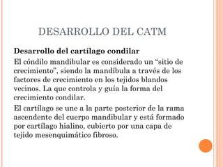 DESARROLLO DEL CATM
Desarrollo del cartílago condilar
El cóndilo mandibular es considerado un “sitio de
crecimiento”, siendo la mandíbula a través de los
factores de crecimiento en los tejidos blandos
vecinos. La que controla y guía la forma del
crecimiento condilar.
El cartílago se une a la parte posterior de la rama
ascendente del cuerpo mandibular y está formado
por cartílago hialino, cubierto por una capa de
tejido mesenquimático fibroso.
 