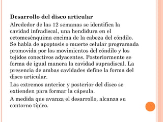 Desarrollo del disco articular
Alrededor de las 12 semanas se identifica la
cavidad infradiscal, una hendidura en el
ectomesénquima encima de la cabeza del cóndilo.
Se habla de apoptosis o muerte celular programada
promovida por los movimientos del cóndilo y los
tejidos conectivos adyacentes. Posteriormente se
forma de igual manera la cavidad supradiscal. La
presencia de ambas cavidades define la forma del
disco articular.
Los extremos anterior y posterior del disco se
extienden para formar la cápsula.
A medida que avanza el desarrollo, alcanza su
contorno típico.
 