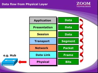 Data flow from Physical Layer

Application
Application

Data

Presentation
Presentation

Data

Session
Session

Data

Transport
Transport
Network
Network
e.g. Hub

Segment
Packet

Data Link
Data Link

Frame

Physical
Physical

Bits

34

 