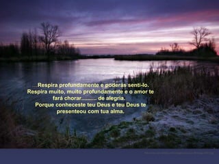 … Respira profundamente e poderás senti-lo. Respira muito, muito profundamente e o amor te fará chorar.......... de alegria.  Porque conheceste teu Deus e teu Deus te presenteou com tua alma. http://www.tom-phillips.info/images/cool.pics.35/image.3507.jpg 