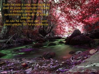 Tudo na vida é uma meditação na qual se pode contemplar o Divino e vivendo dessa forma, aprendemos que tudo na vida é bênção. Já não há luta, nem dor, nem preocupação. Só há experiência. http://www.tom-phillips.info/images/cool.pics.35/image.3505.jpg 