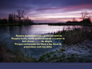 … Respira profundamente e poderás senti-lo. Respira muito, muito profundamente e o amor te fará chorar.......... de alegria.  Porque conheceste teu Deus e teu Deus te presenteou com tua alma. http://www.tom-phillips.info/images/cool.pics.35/image.3507.jpg 