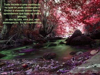 Tudo na vida é uma meditação na qual se pode contemplar o Divino e vivendo dessa forma, aprendemos que tudo na vida é bênção. Já não há luta, nem dor, nem preocupação. Só há experiência. http://www.tom-phillips.info/images/cool.pics.35/image.3505.jpg 