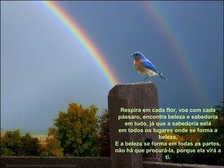 http://www.tom-phillips.info/images/cool.pics.35/image.3509.jpg
Respira em cada flor, voa com cada
pássaro, encontra beleza e sabedoria
em tudo, já que a sabedoria está
em todos os lugares onde se forma a
beleza.
E a beleza se forma em todas as partes,
não há que procurá-la, porque ela virá a
ti.
 