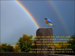 Respira em cada flor, voa com cada
pássaro, encontra beleza e sabedoria em
tudo, já que a sabedoria está
em todos os lugares onde se forma a
beleza.
E a beleza se forma em todas as partes,
não há que procurá-la, porque ela virá a ti.
 