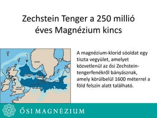 Zechstein Tenger a 250 millió
éves Magnézium kincs
A magnézium-klorid sóoldat egy
tiszta vegyület, amelyet
közvetlenül az ősi Zechstein-
tengerfenékről bányásznak,
amely körülbelül 1600 méterrel a
föld felszín alatt található.
 