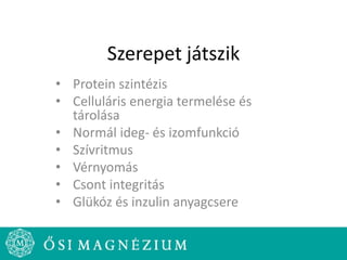 Szerepet játszik
• Protein szintézis
• Celluláris energia termelése és
tárolása
• Normál ideg- és izomfunkció
• Szívritmus
• Vérnyomás
• Csont integritás
• Glükóz és inzulin anyagcsere
 