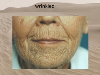 wrinkled  