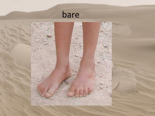 bare 