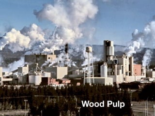 Wood Pulp
 
