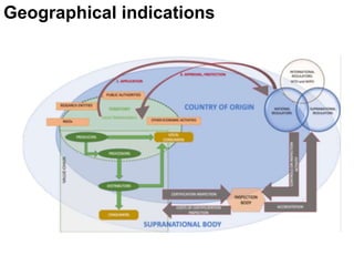 Geographical indications
 