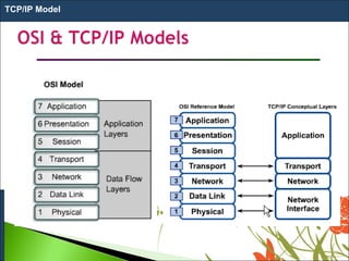 TCP/IP Model
 