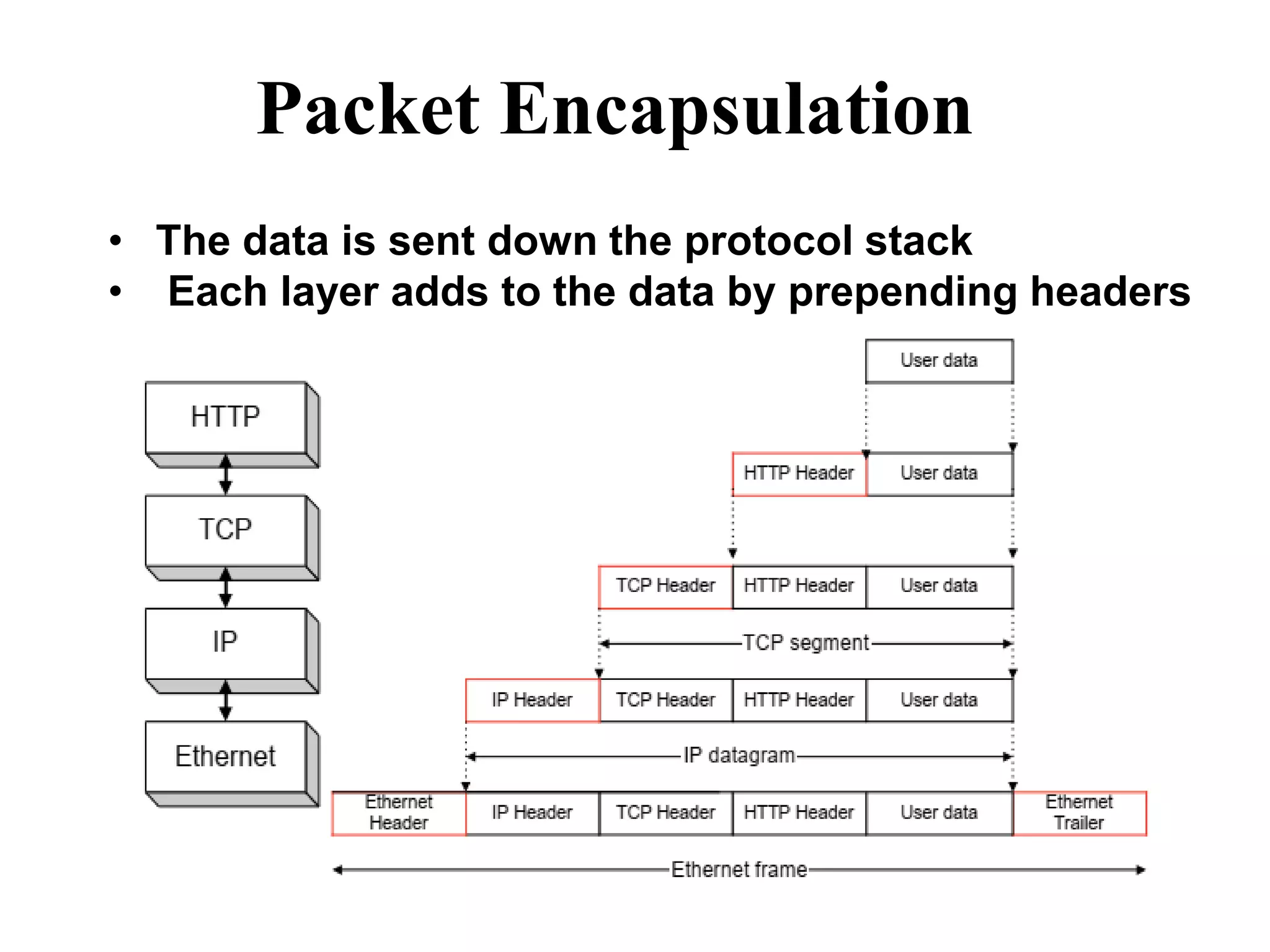 Packet Encapsulation
• The data is sent down the protocol stack
• Each layer adds to the data by prepending headers
 