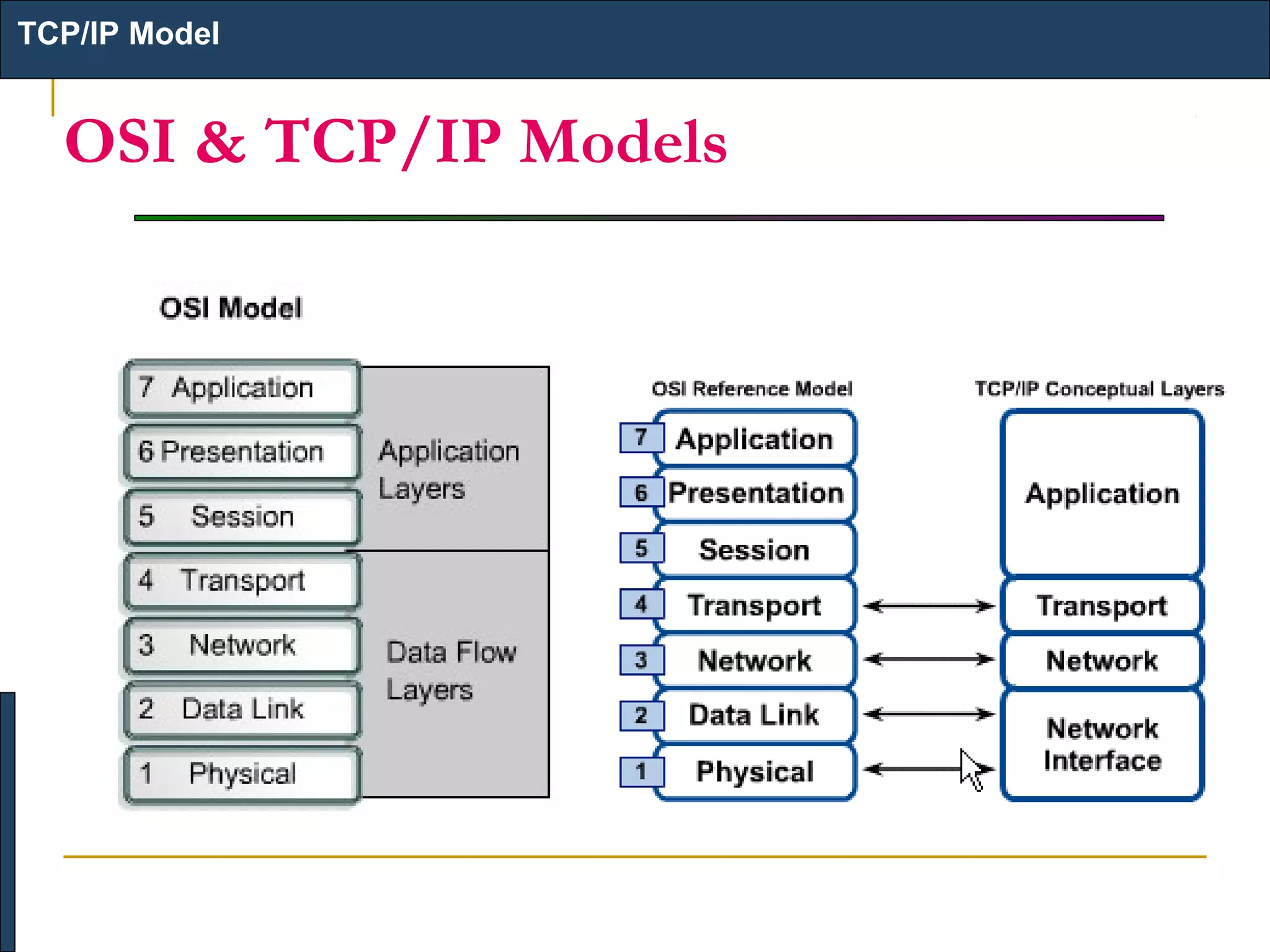 TCP/IP Model

OSI & TCP/IP Models

 
