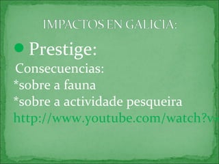 Prestige:
Consecuencias:
*sobre a fauna
*sobre a actividade pesqueira
http://www.youtube.com/watch?v=
 