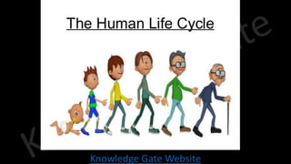 Knowledge Gate Website
 