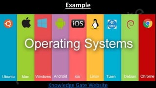 Knowledge Gate Website
Example
 